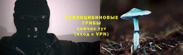 МДПВ Гусь-Хрустальный