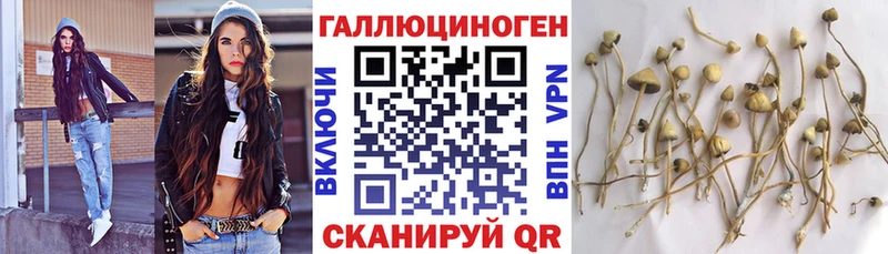 Галлюциногенные грибы прущие грибы  Березники 